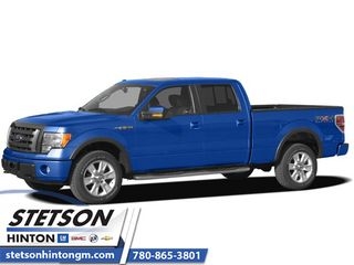 2009 Ford F-150