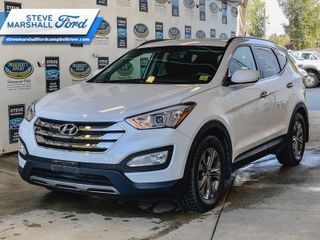 2014 Hyundai Santa Fe