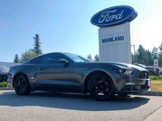 2015 Ford Fastback