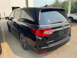 2019 Honda Odyssey