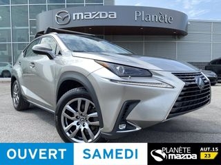 2019 Lexus NX 300h