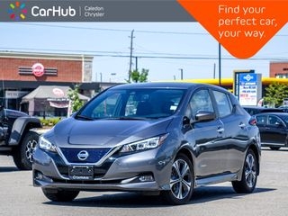2019 Nissan LEAF