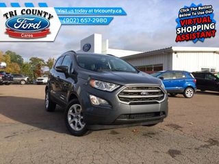 2020 Ford EcoSport