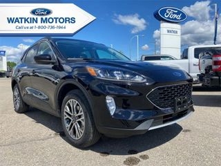 2021 Ford Escape