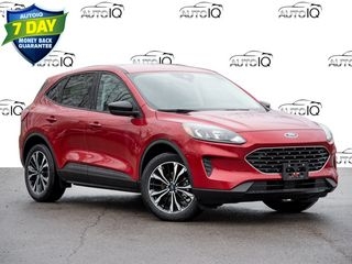 2021 Ford Escape
