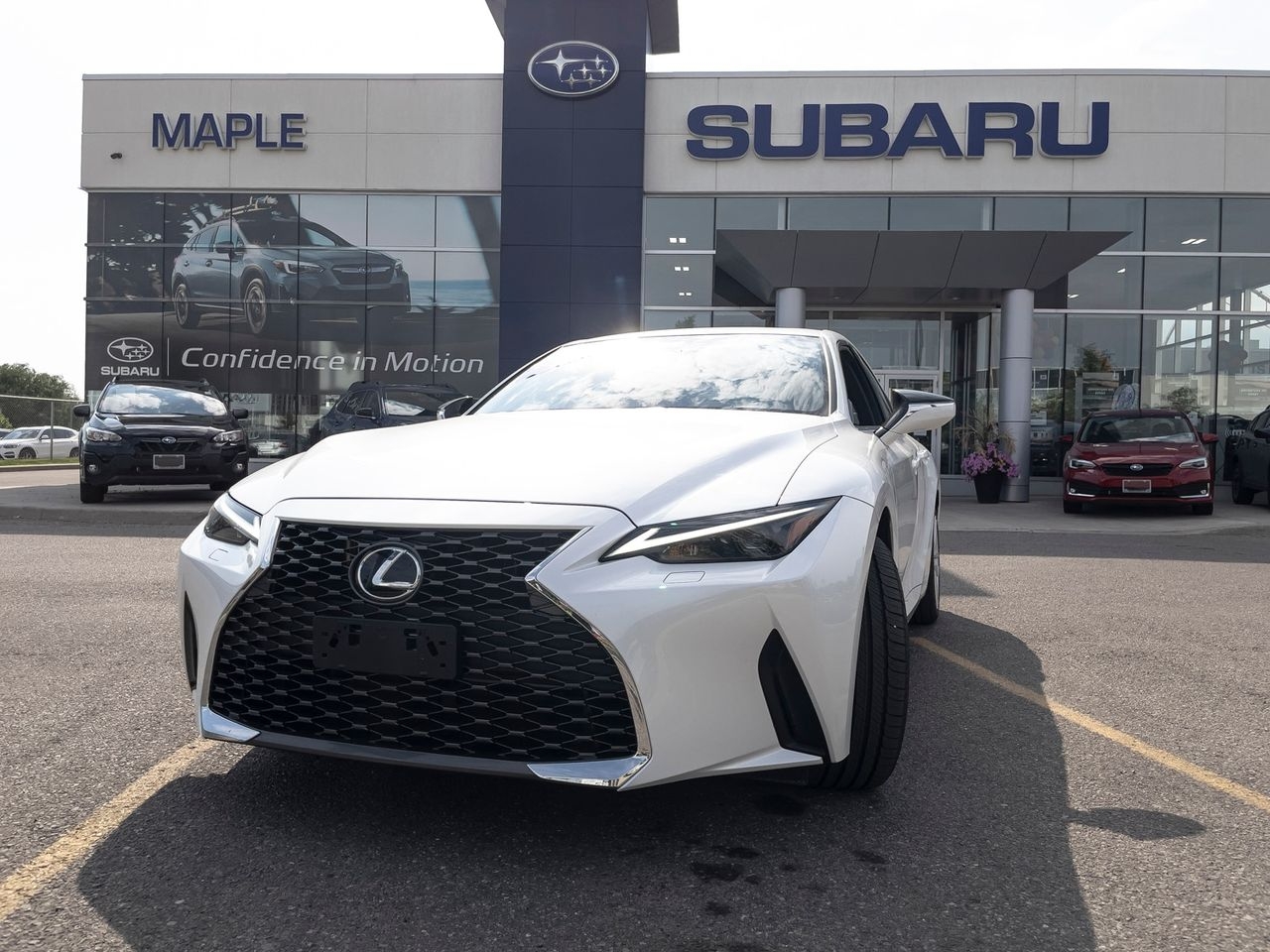 2021 Lexus IS