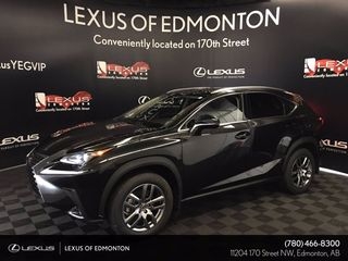 2021 Lexus NX 300