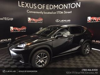 2021 Lexus NX 300