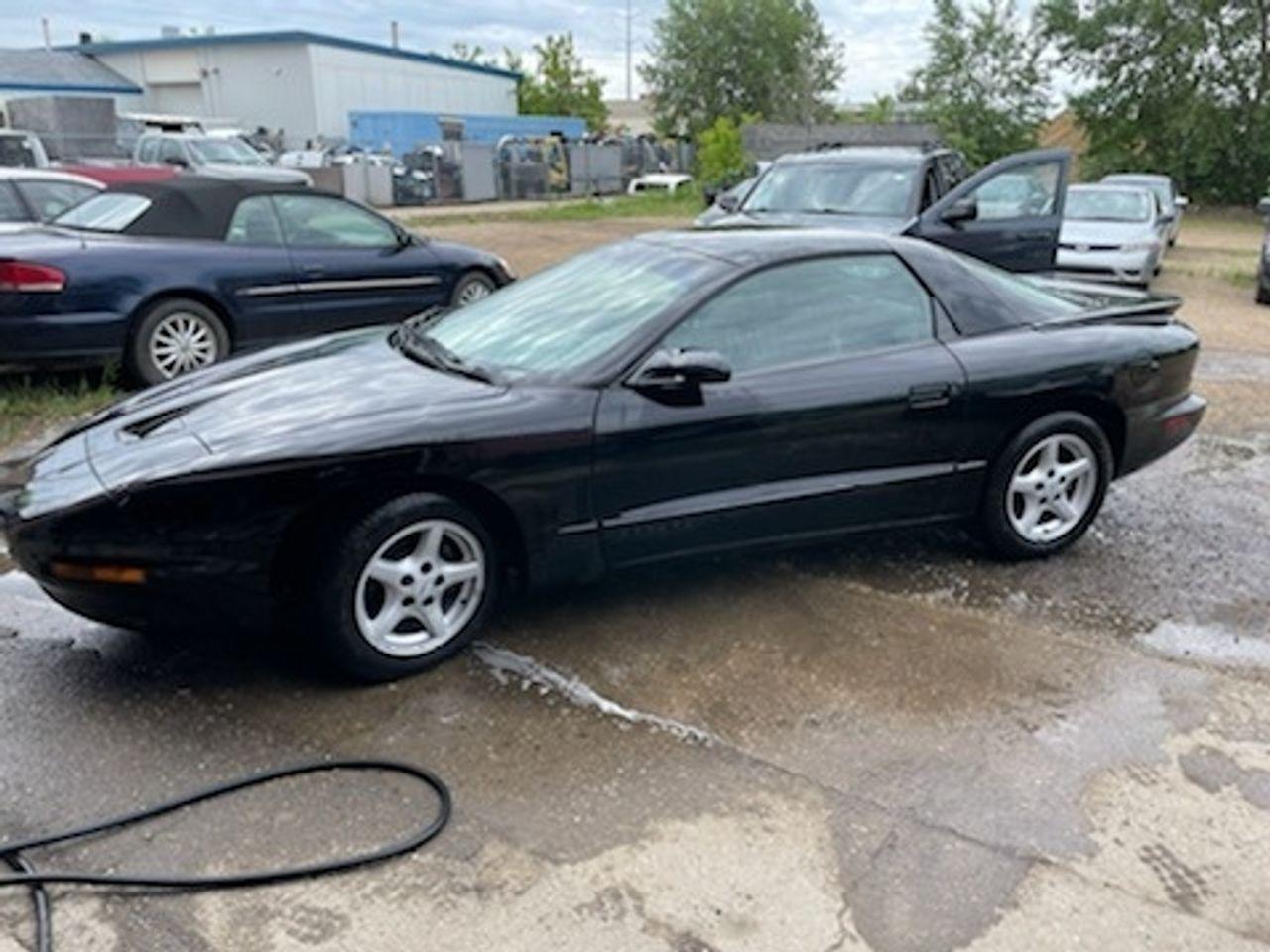 1997 Pontiac Firebird Base-0
