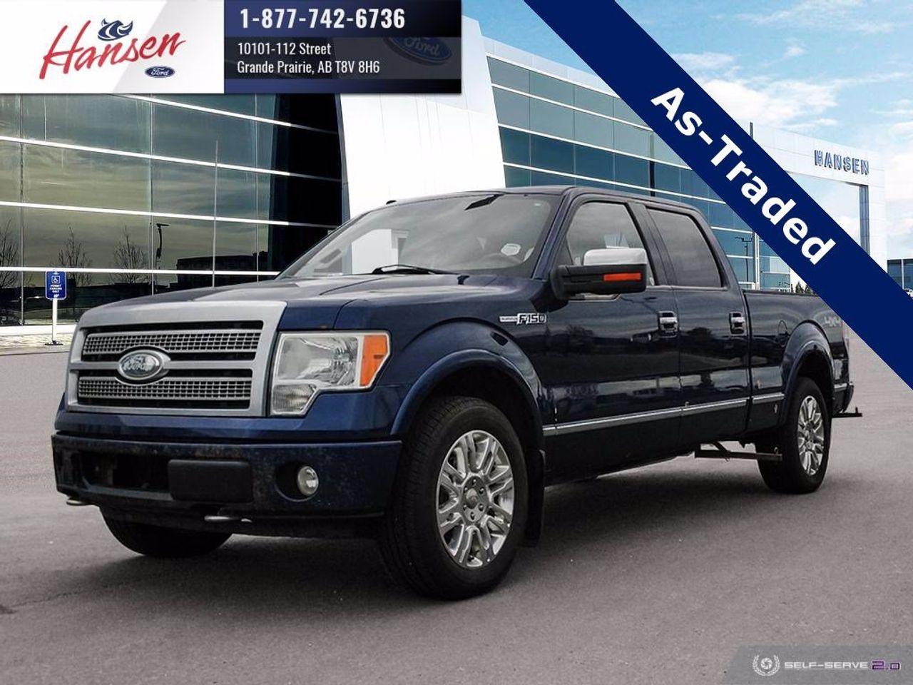 2009 Ford F-150 Platinum-0