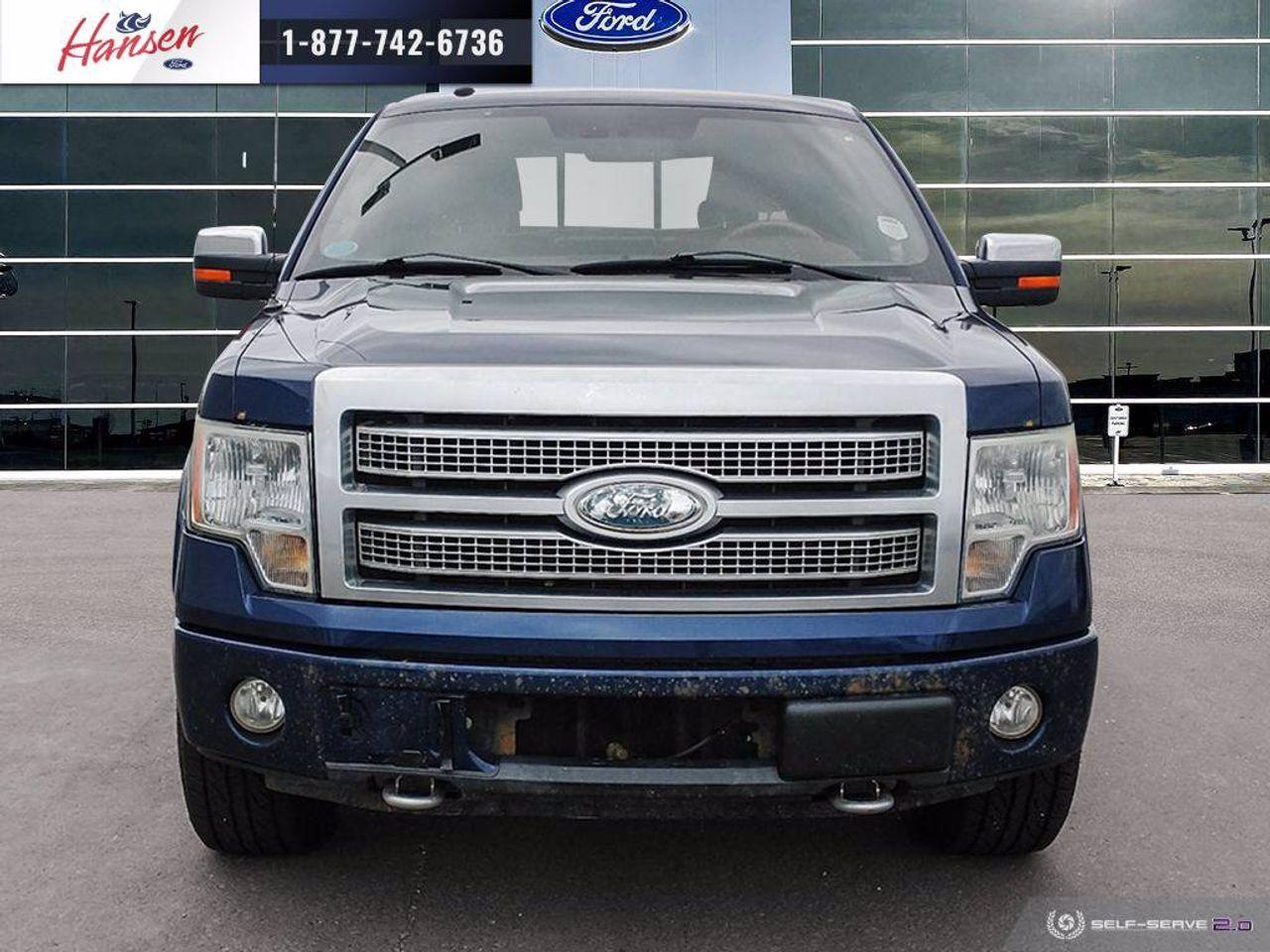 2009 Ford F-150 Platinum-1