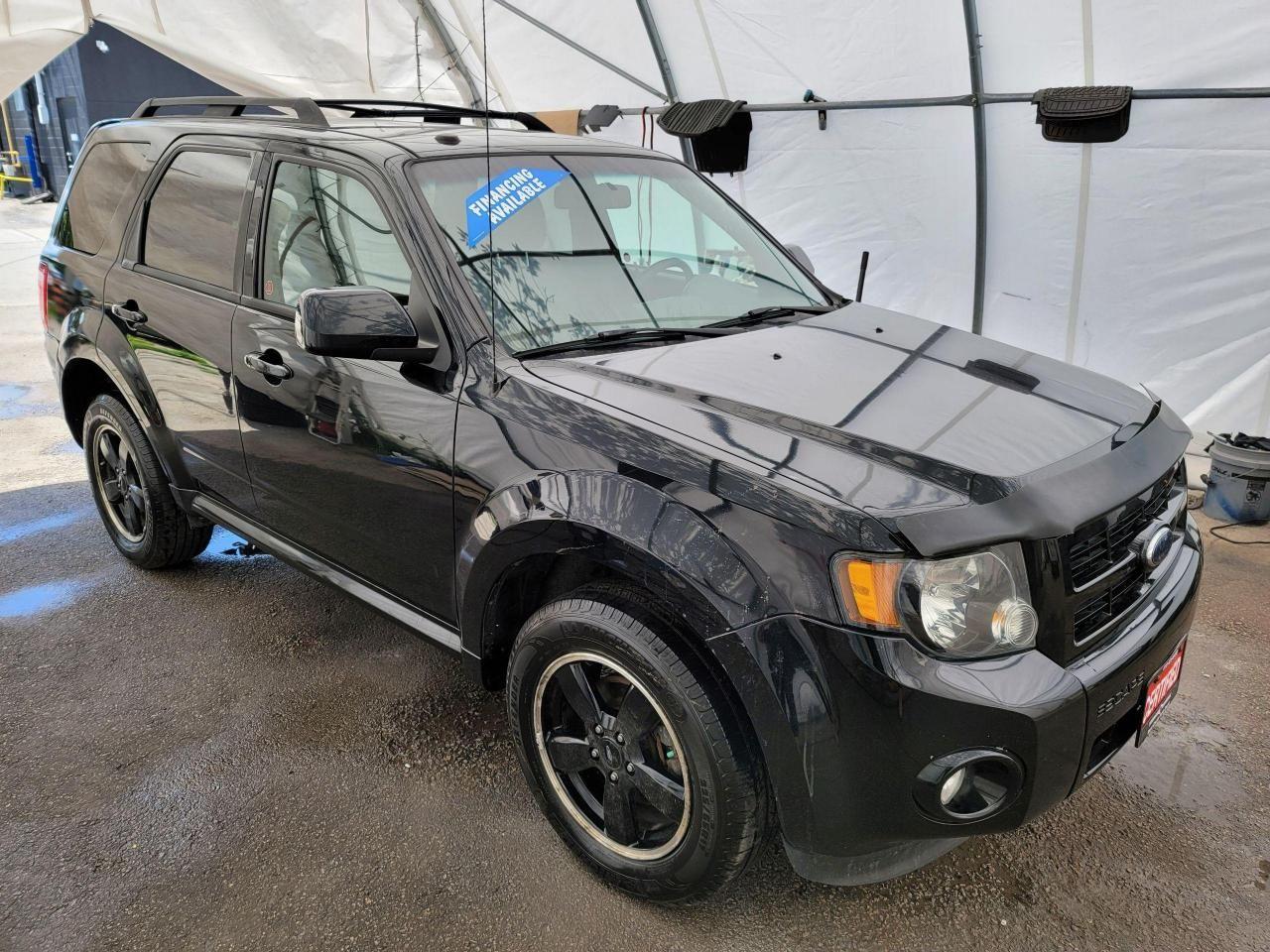 2010 Ford Escape XLT-1