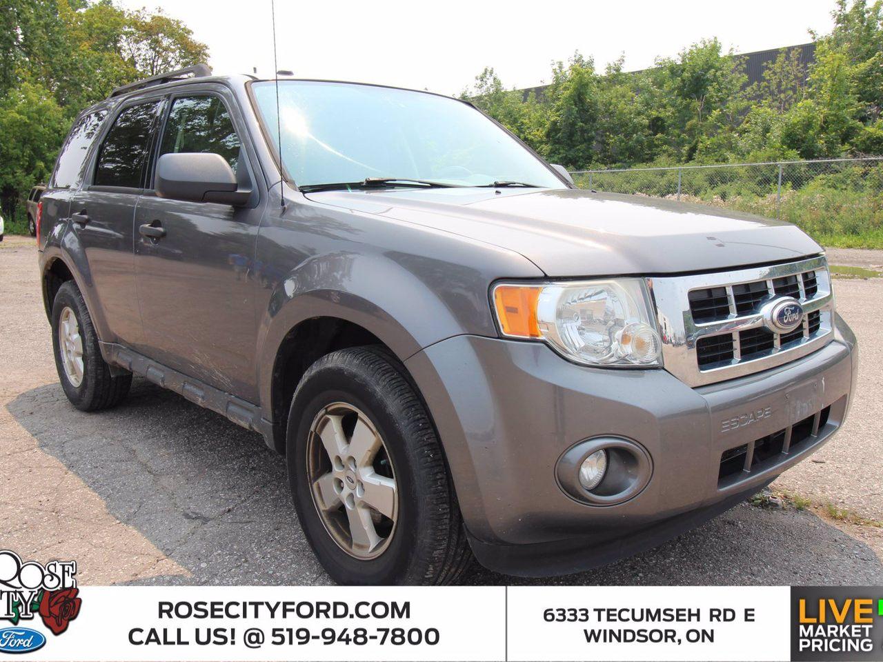 2010 Ford Escape XLT-0