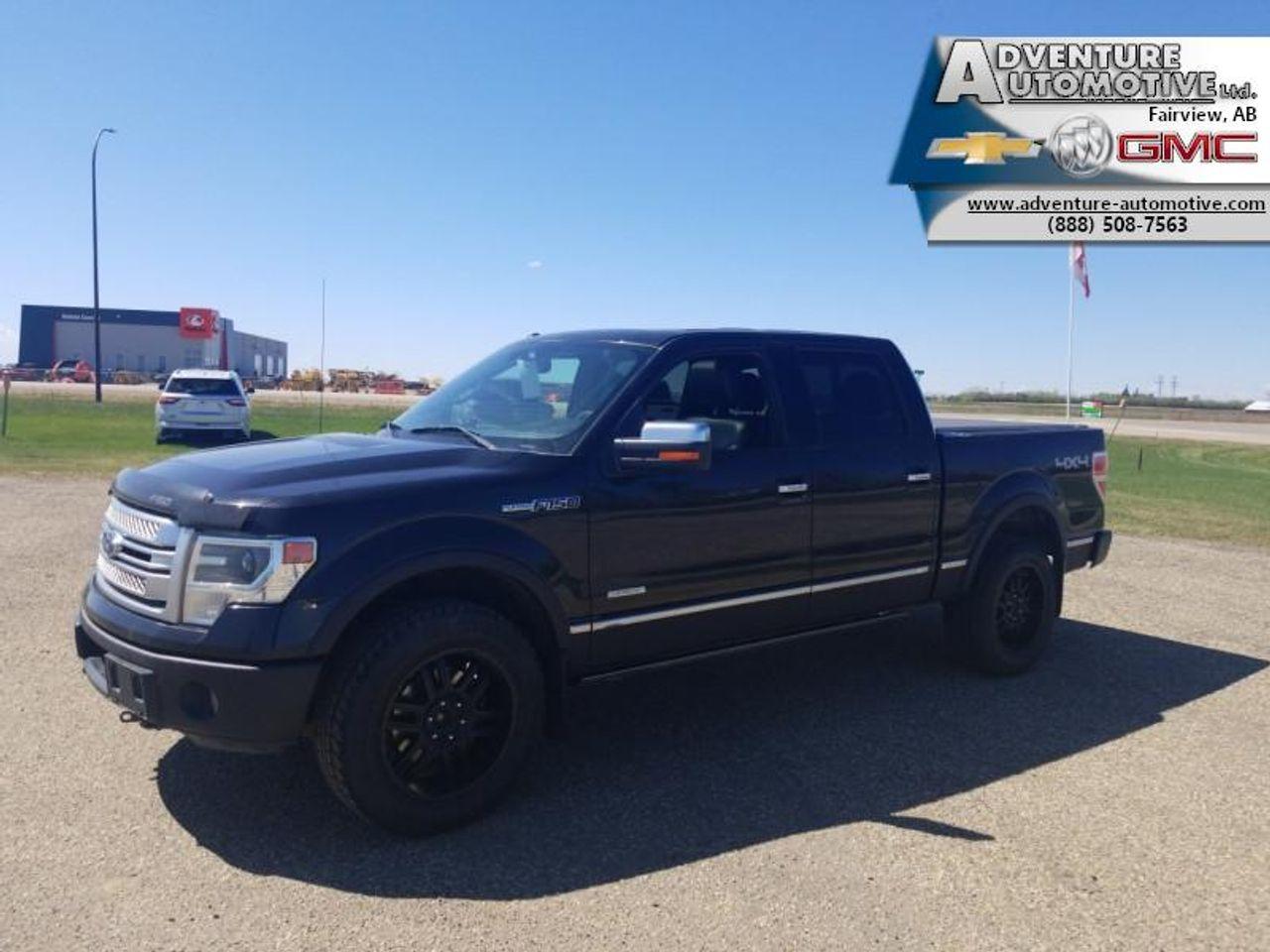 2013 Ford F-150 Platinum-3