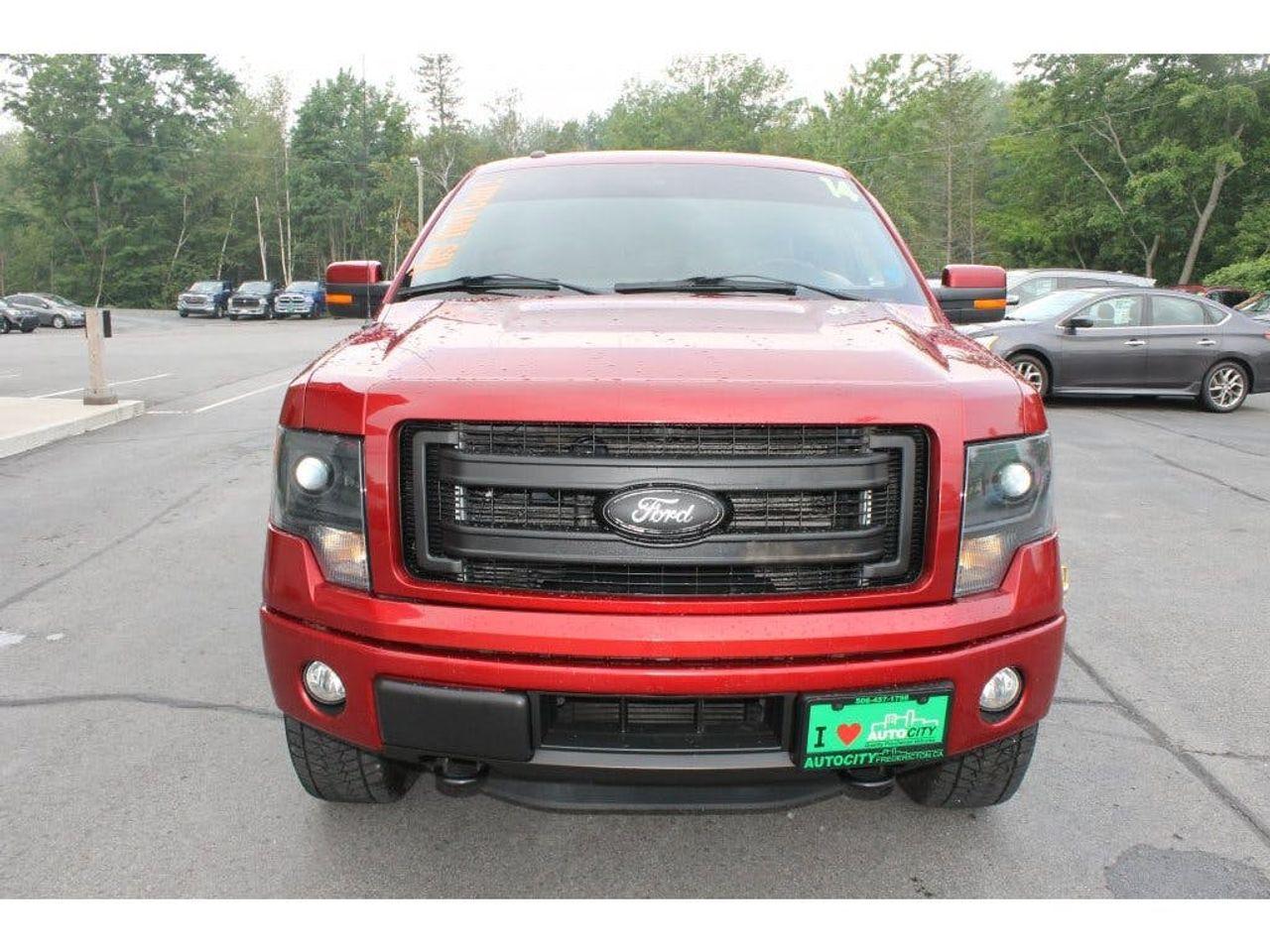 2014 Ford F-150 FX4-3