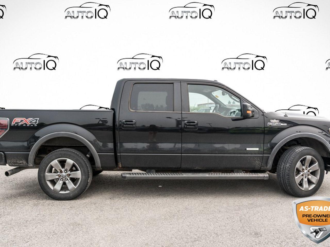 2014 Ford F-150 FX4-3
