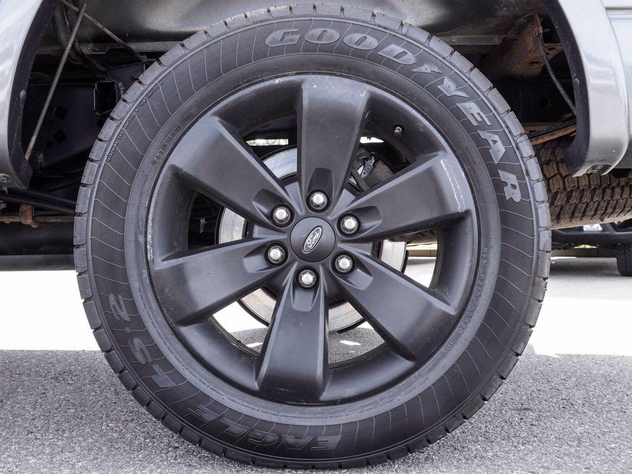 2014 Ford F-150 FX4-3