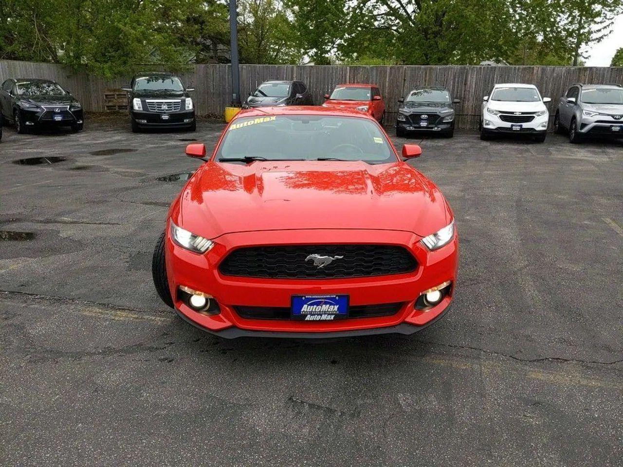 2015 Ford Fastback V6-1