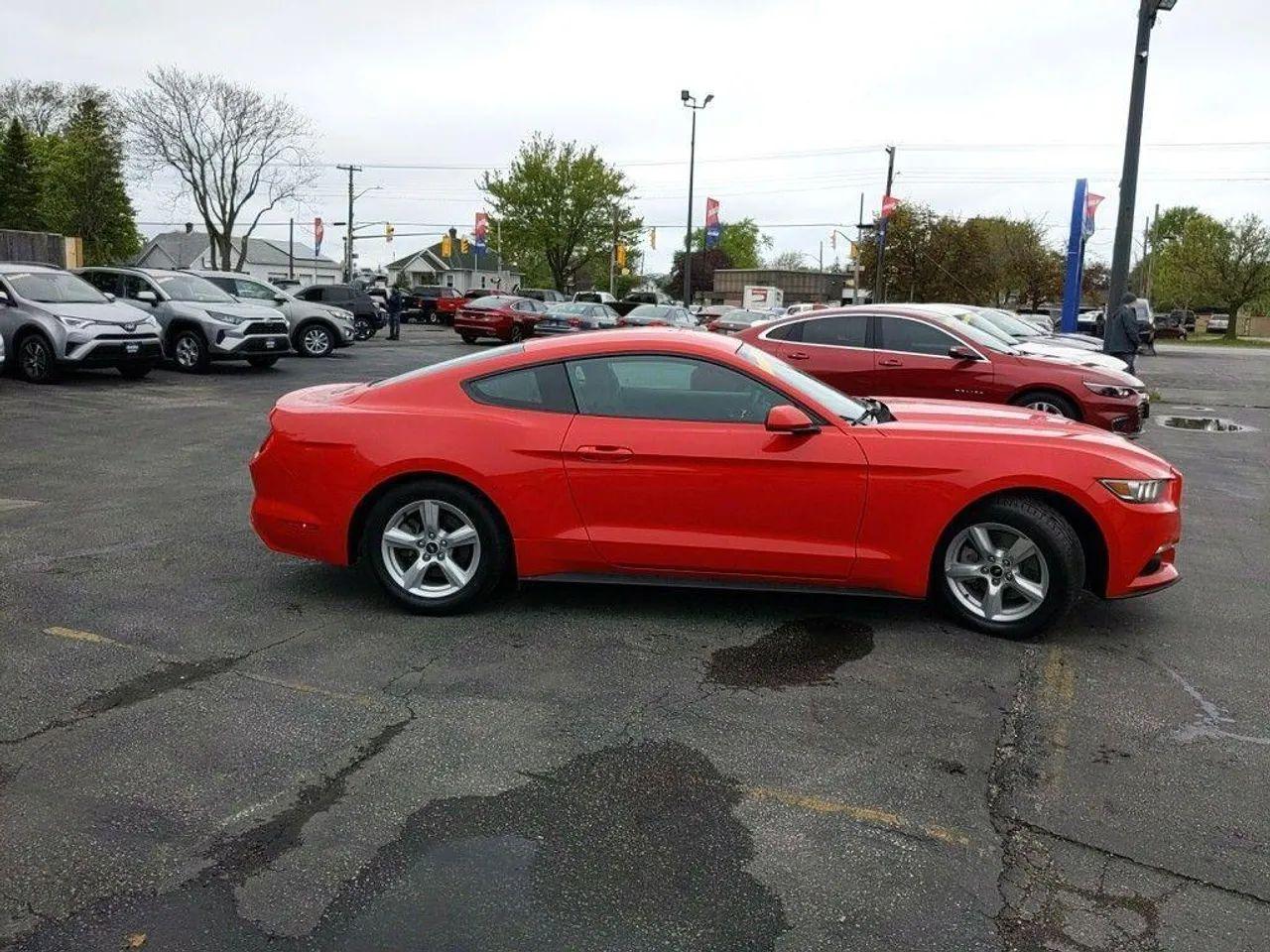 2015 Ford Fastback V6-3
