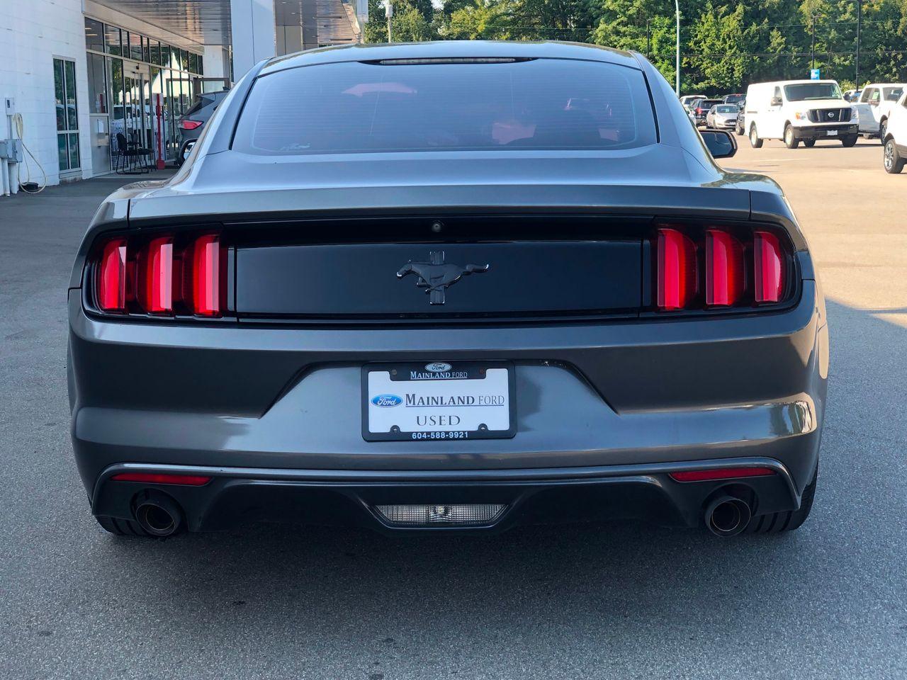 2015 Ford Fastback V6-3