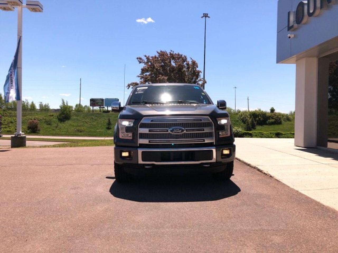 2016 Ford F-150 Platinum EcoBoost-2