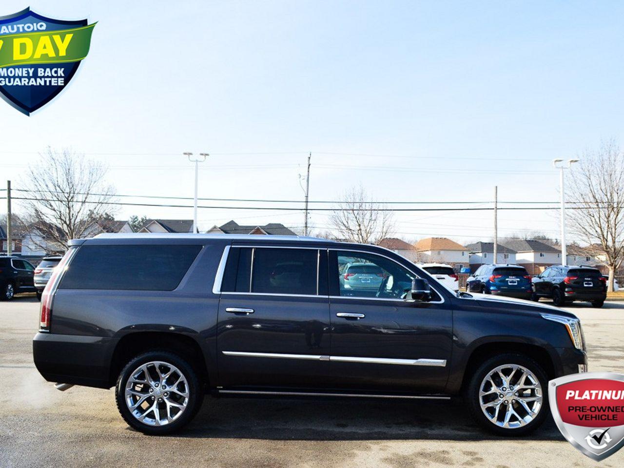 2017 Cadillac Escalade Platinum-1