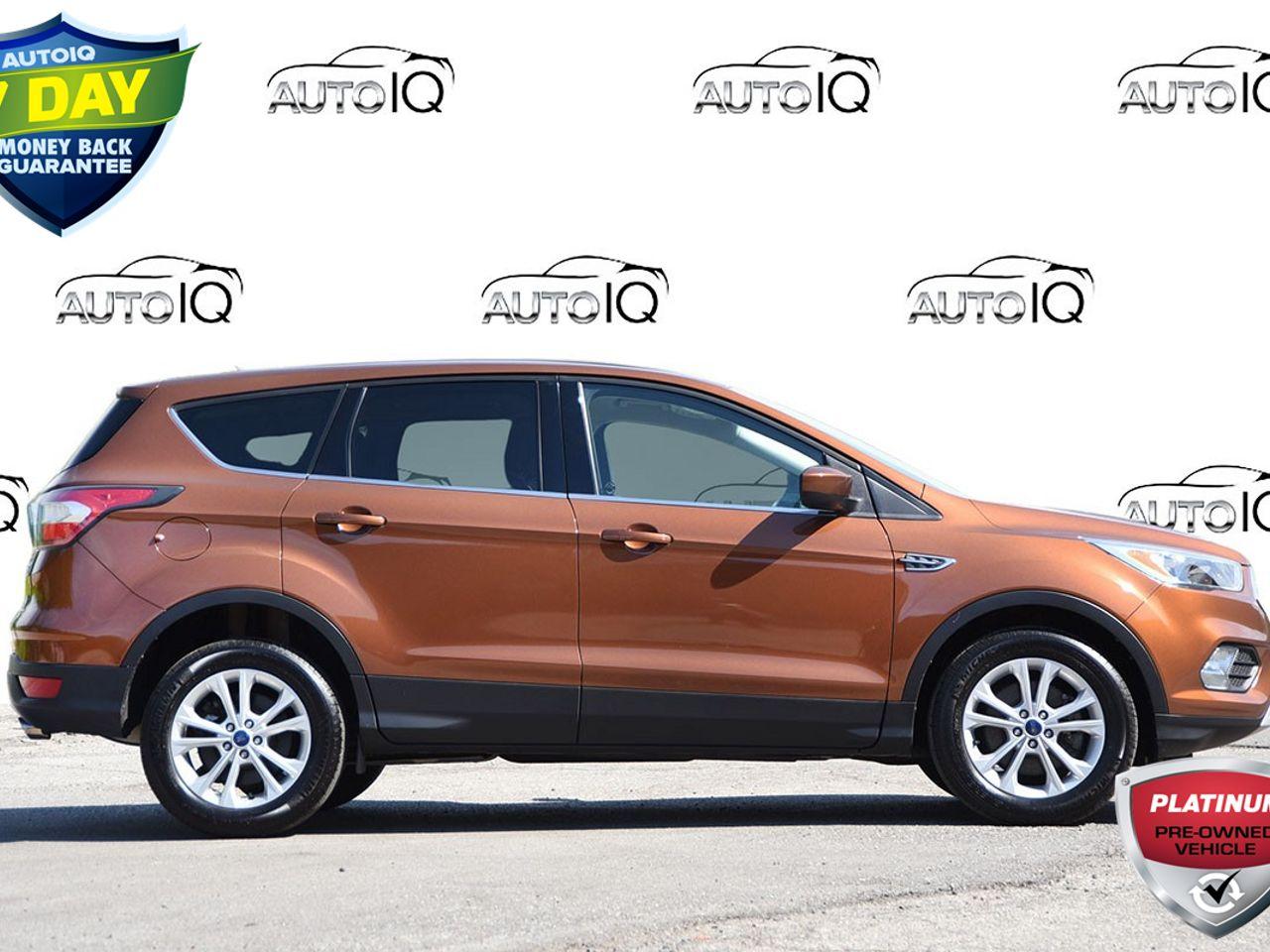 2017 Ford Escape SE-1