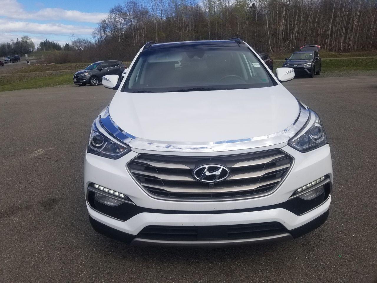 2017 Hyundai Santa Fe Limited-2