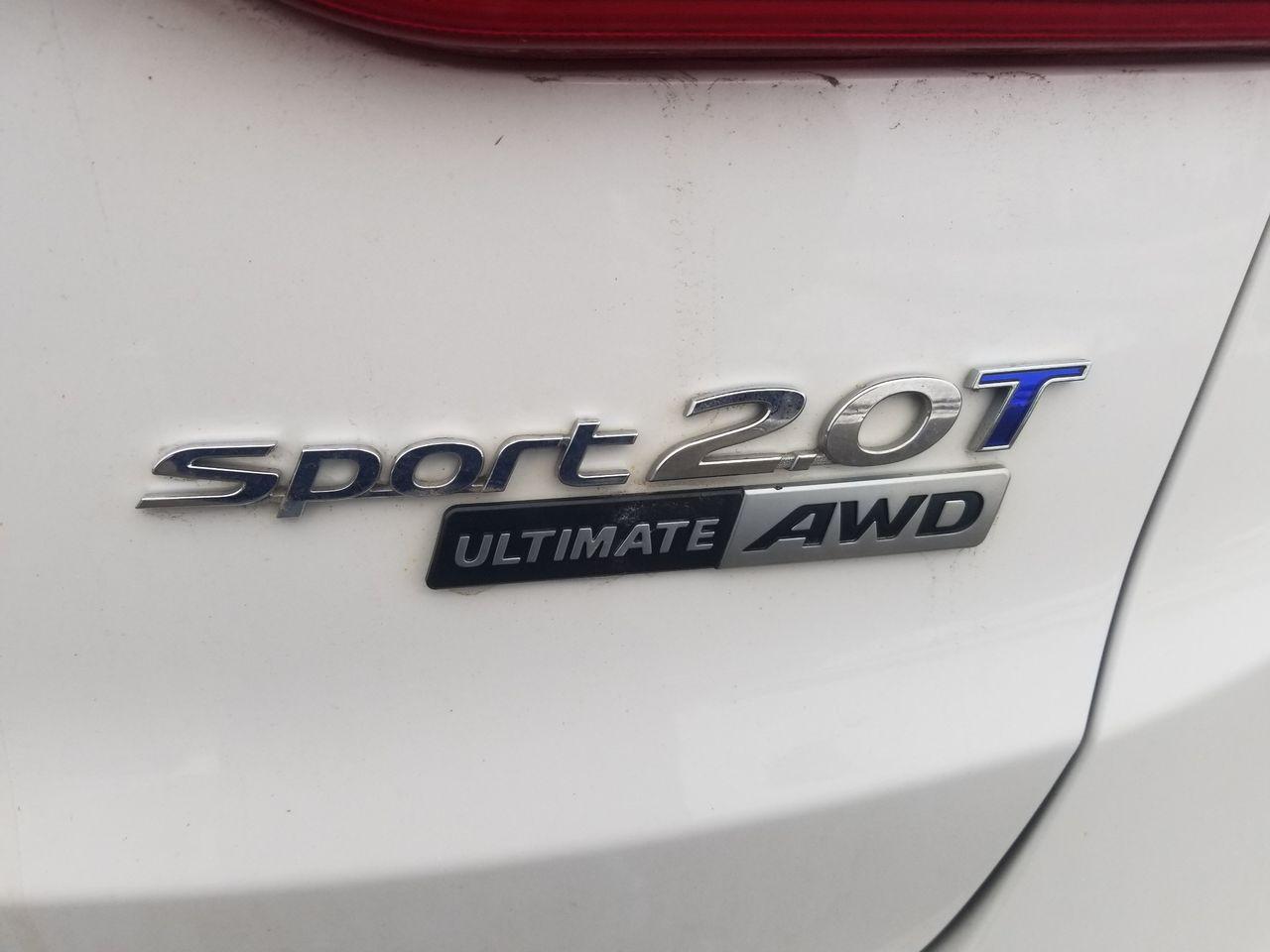 2017 Hyundai Santa Fe Limited-3