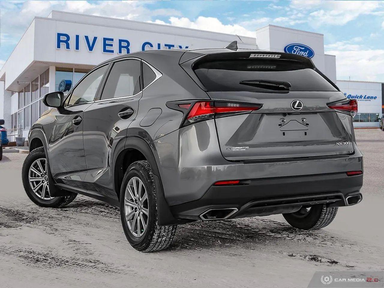 2018 Lexus NX 300 -4