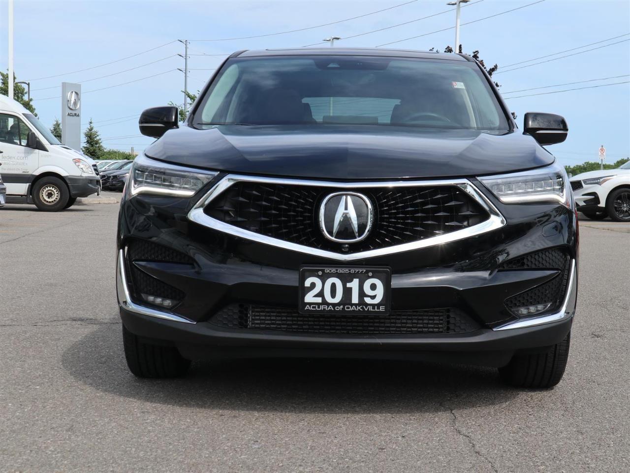 2019 Acura RDX SH--1