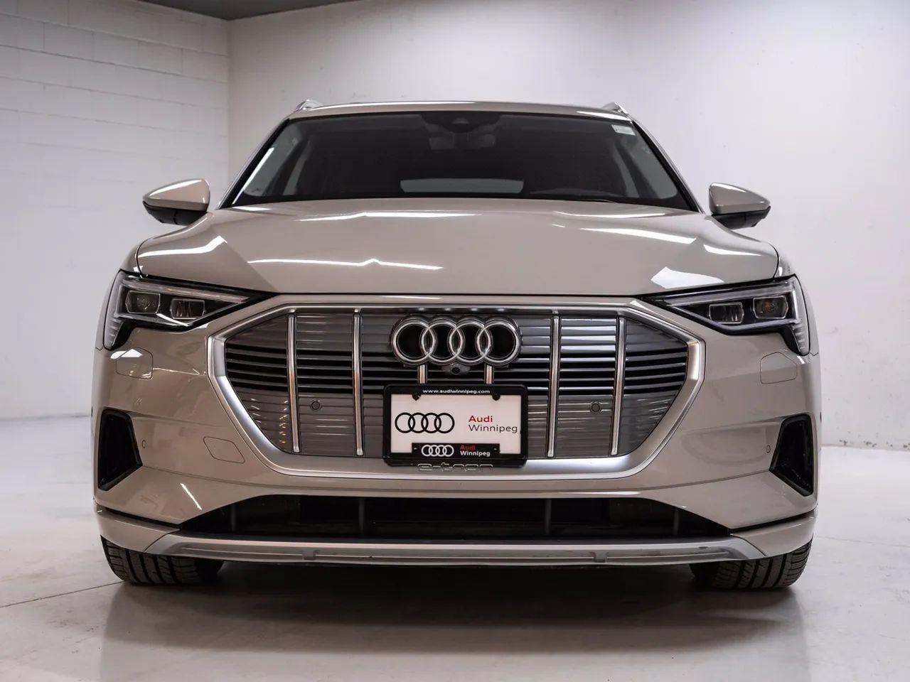 2019 Audi e-tron Technik-1