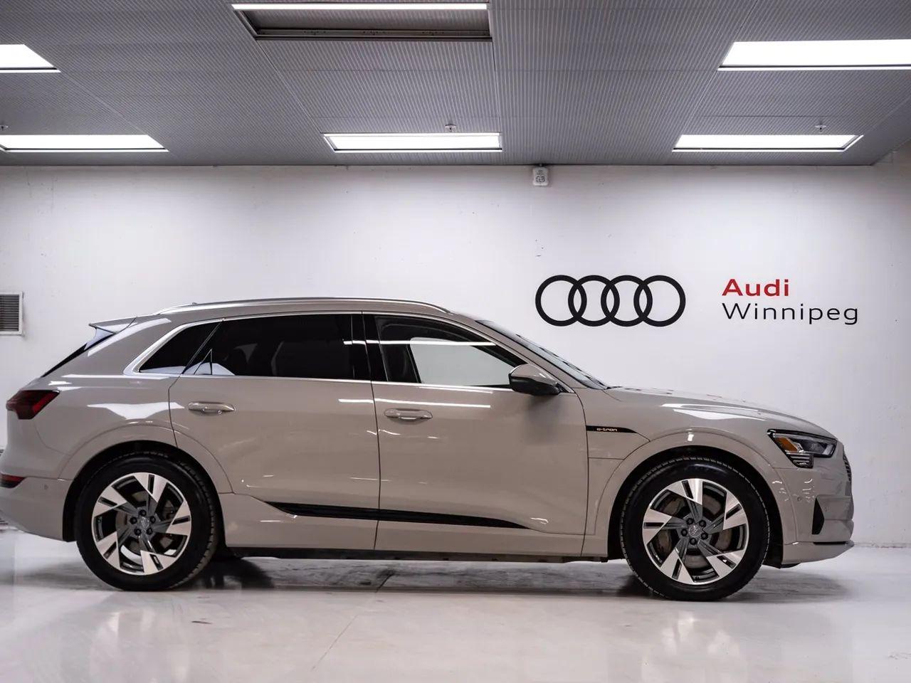 2019 Audi e-tron Technik-3