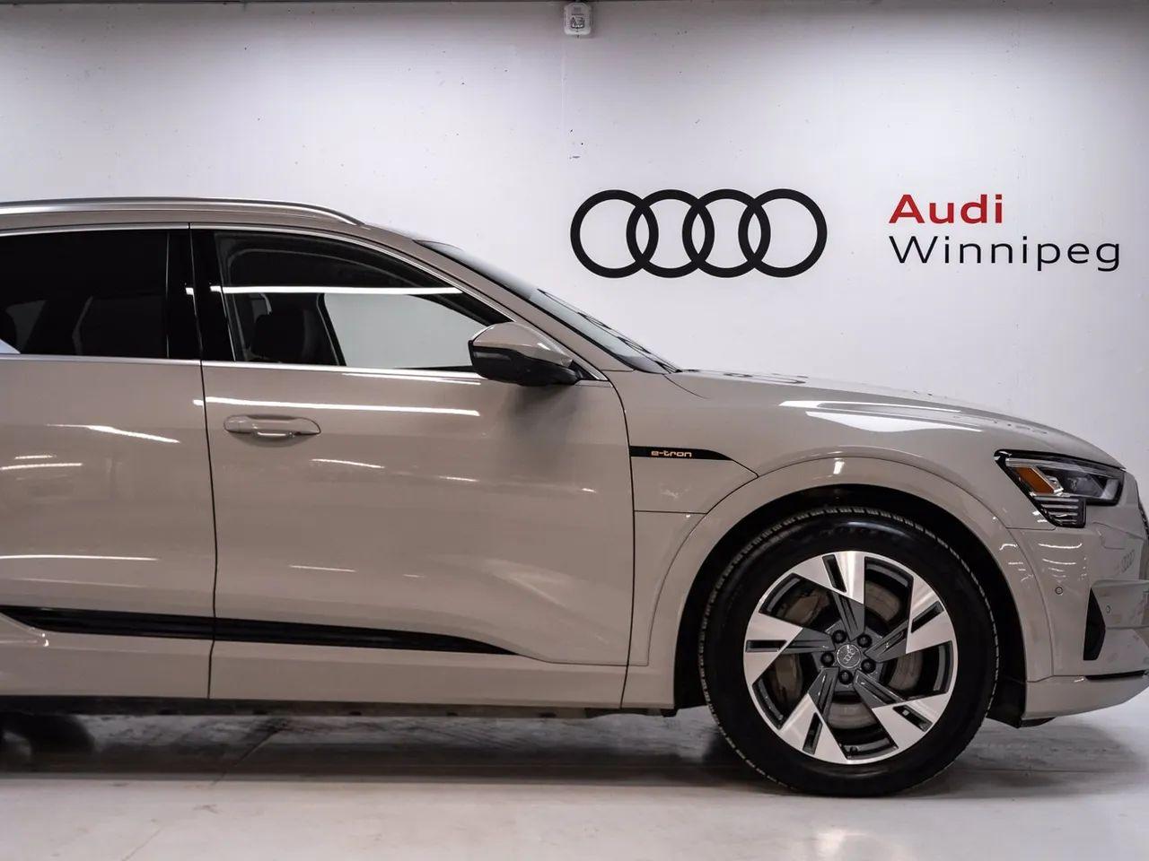 2019 Audi e-tron Technik-4