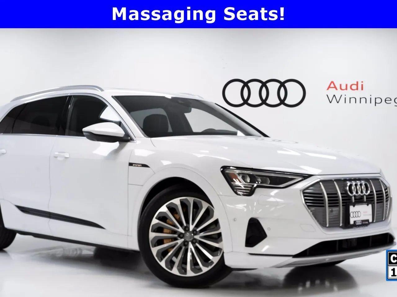 2019 Audi e-tron Technik-0