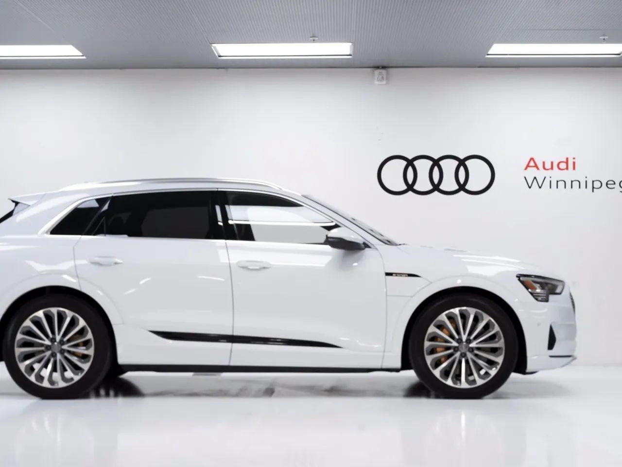 2019 Audi e-tron Technik-3