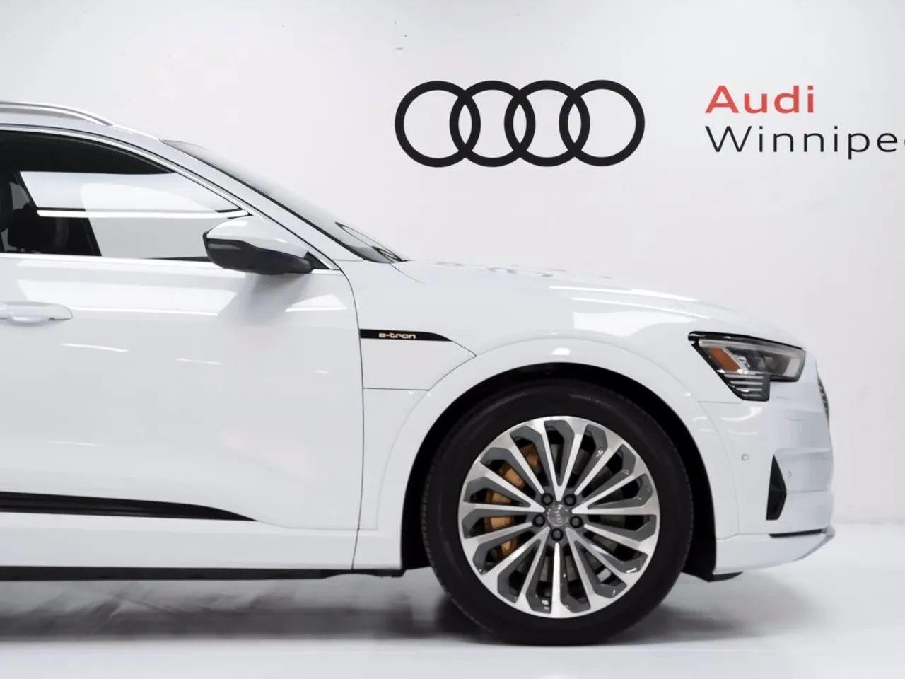 2019 Audi e-tron Technik-4