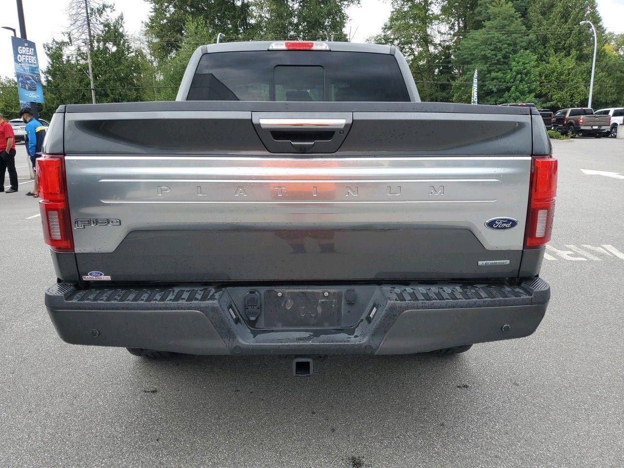 2019 Ford F-150 Platinum-3