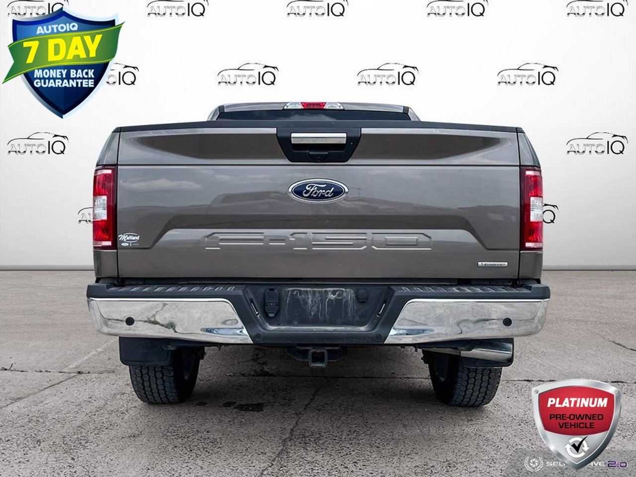 2019 Ford F-150 XLT-4