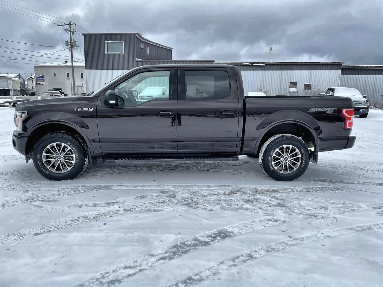 2019 Ford F-150 XLT-4