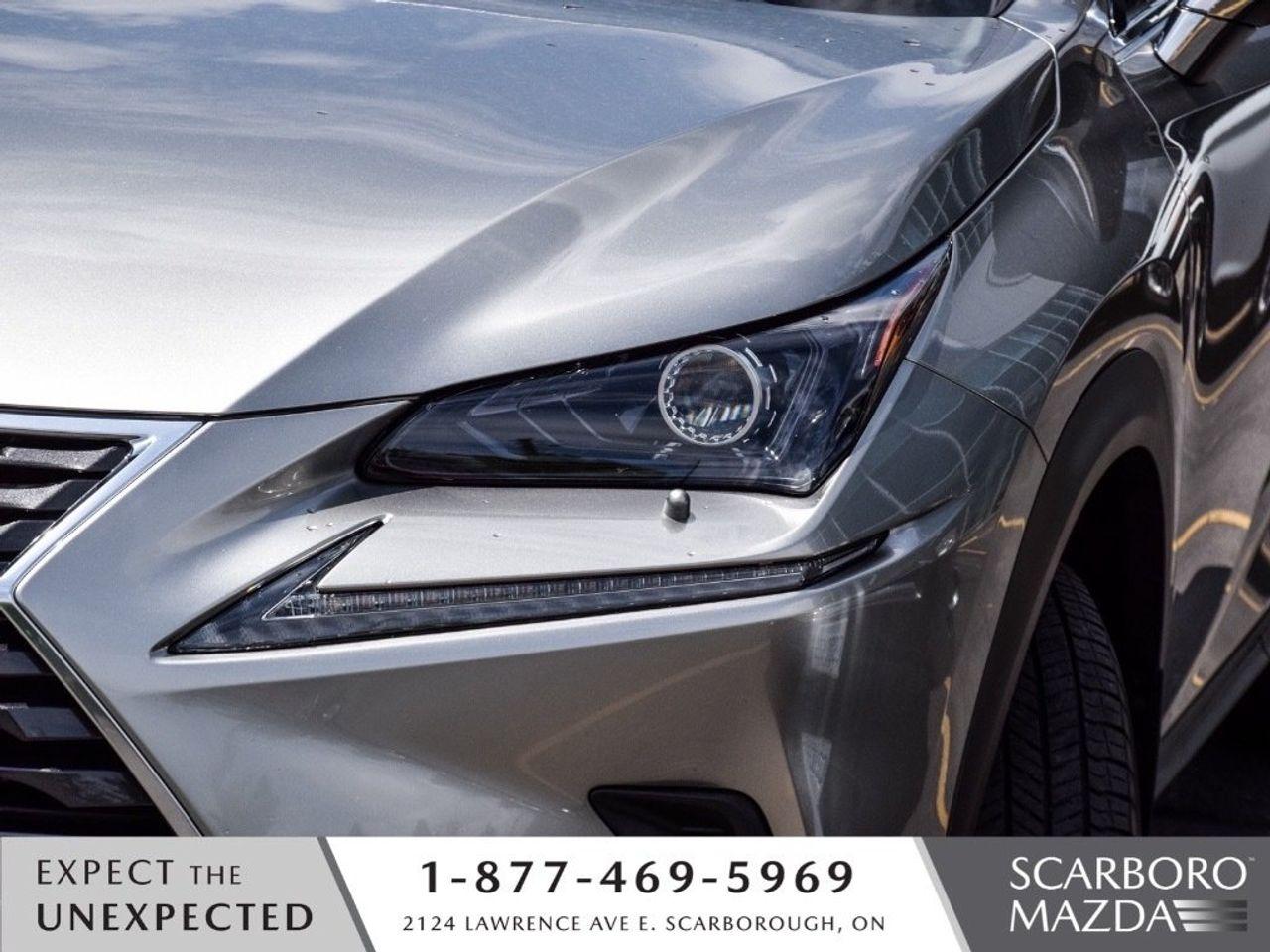 2019 Lexus NX 300 -3