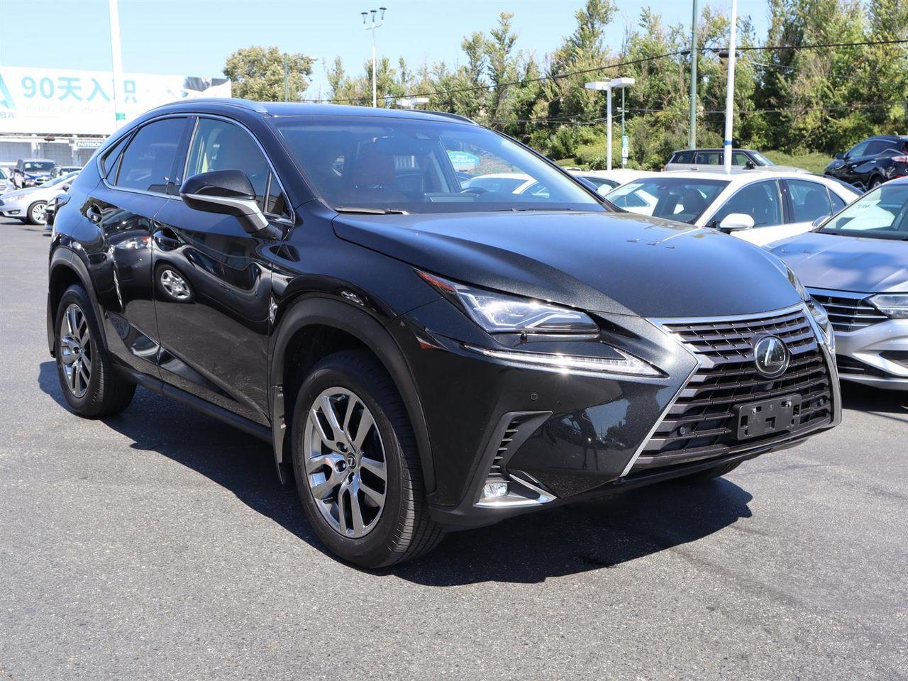 2019 Lexus NX 300 Base-2
