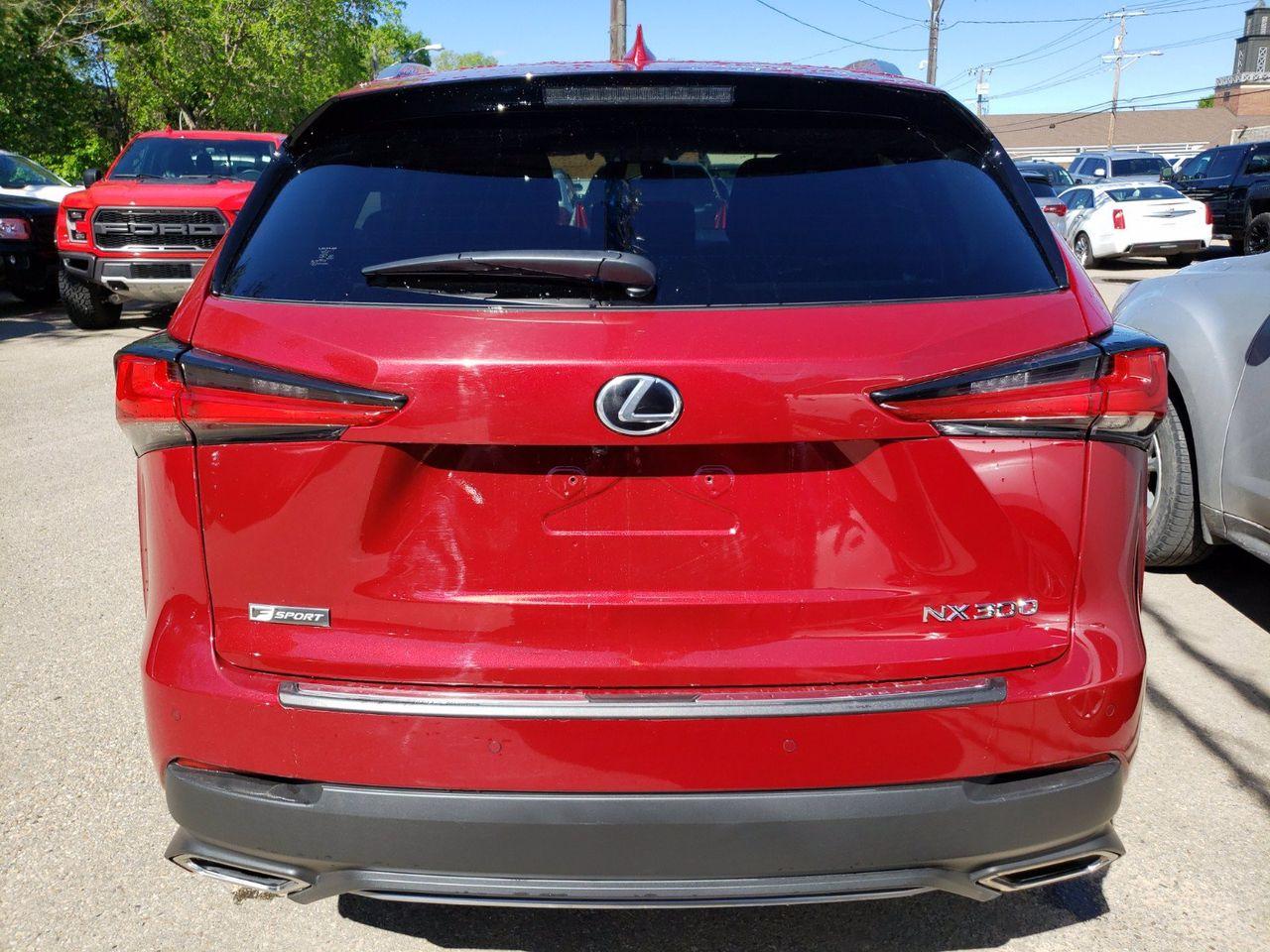2019 Lexus NX 300 F Sport-4