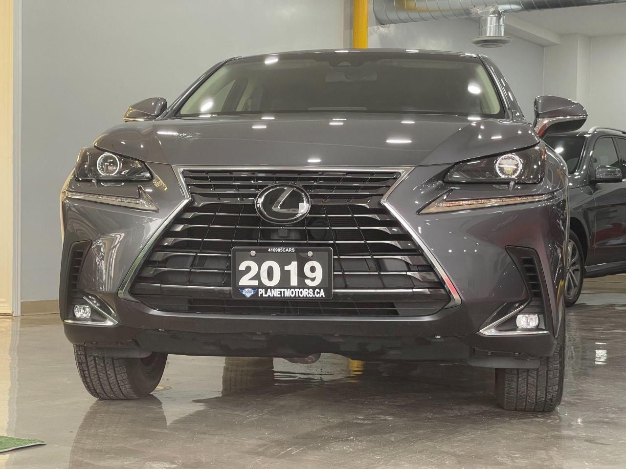 2019 Lexus NX 300 -1