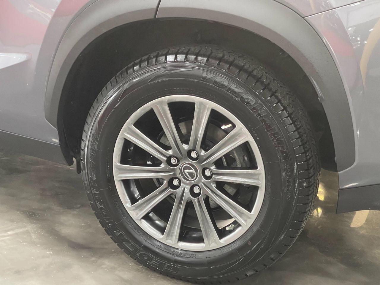 2019 Lexus NX 300 -3