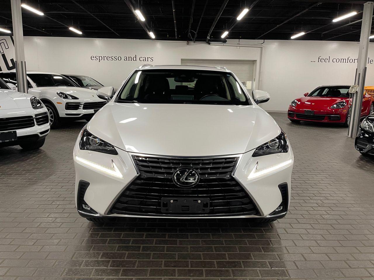 2019 Lexus NX 300 Premium-1