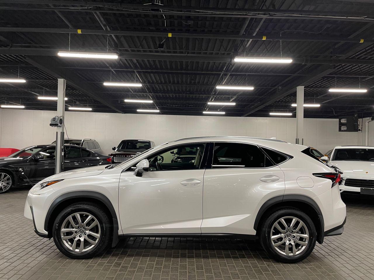 2019 Lexus NX 300 Premium-4