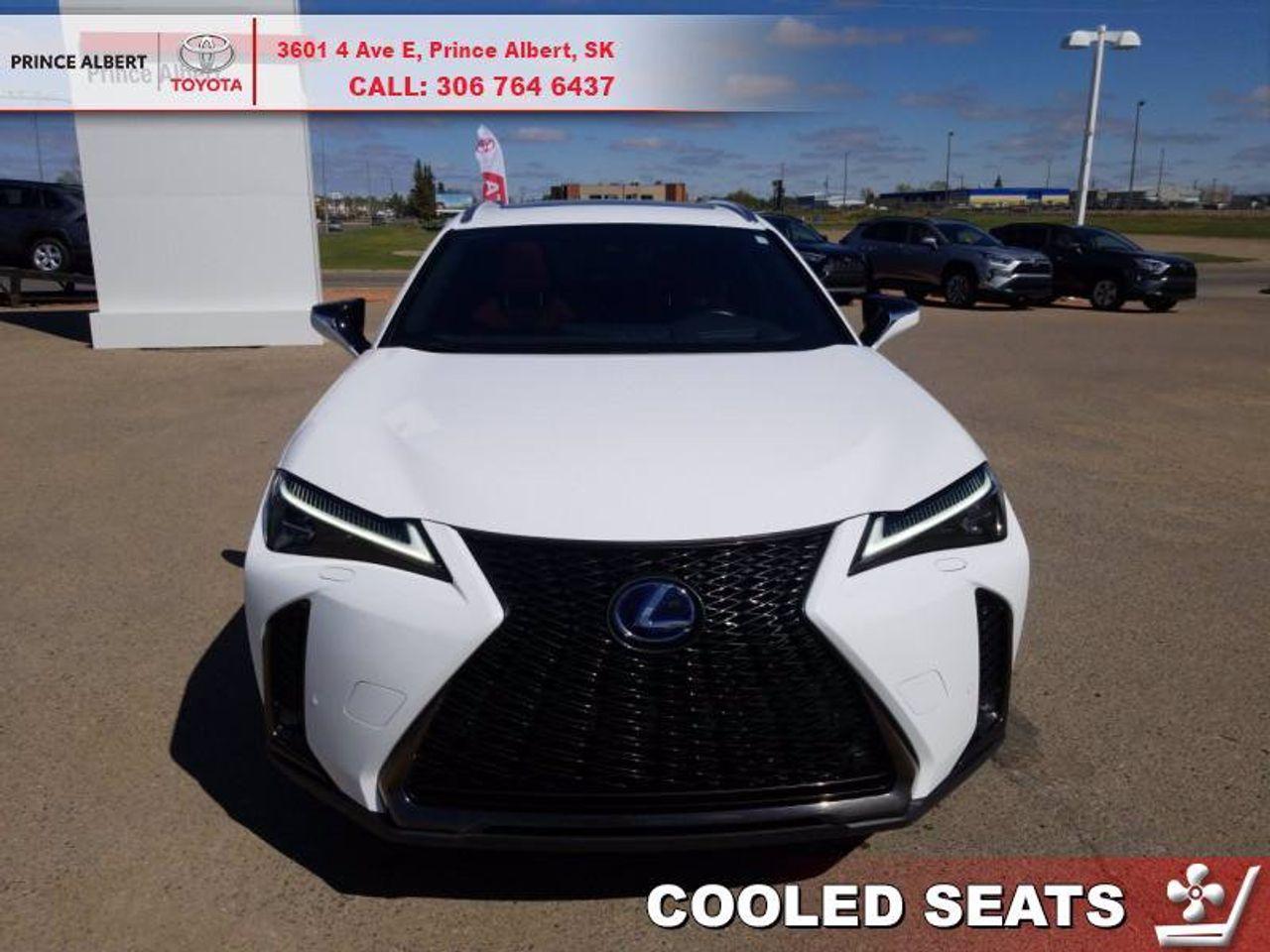2019 Lexus UX 250h -1