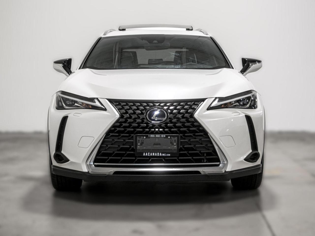 2019 Lexus UX 250h -1