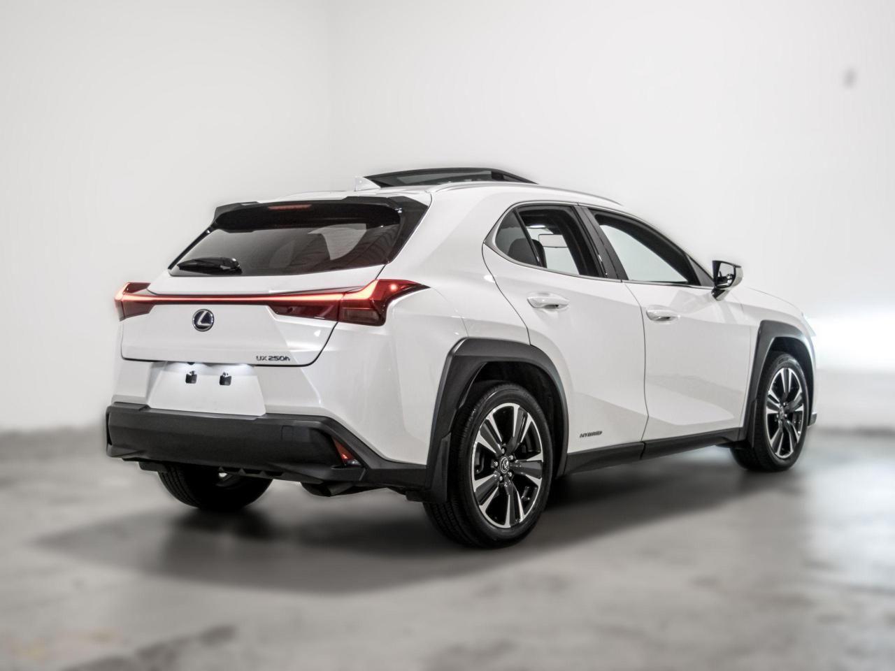 2019 Lexus UX 250h -3